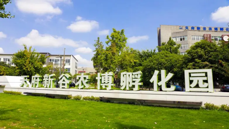 埃塞俄比亚咖啡豆在新津烘焙，成都初创企业打造全球咖啡产业链  第3张