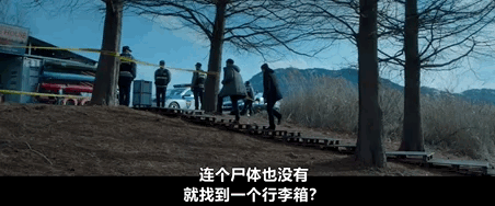 鱿鱼游戏2定档12月26日,孔刘主演新剧一箱情缘尺度生猛引期待 第17张 鱿鱼游戏2定档12月26日,孔刘主演新剧一箱情缘尺度生猛引期待 第17张