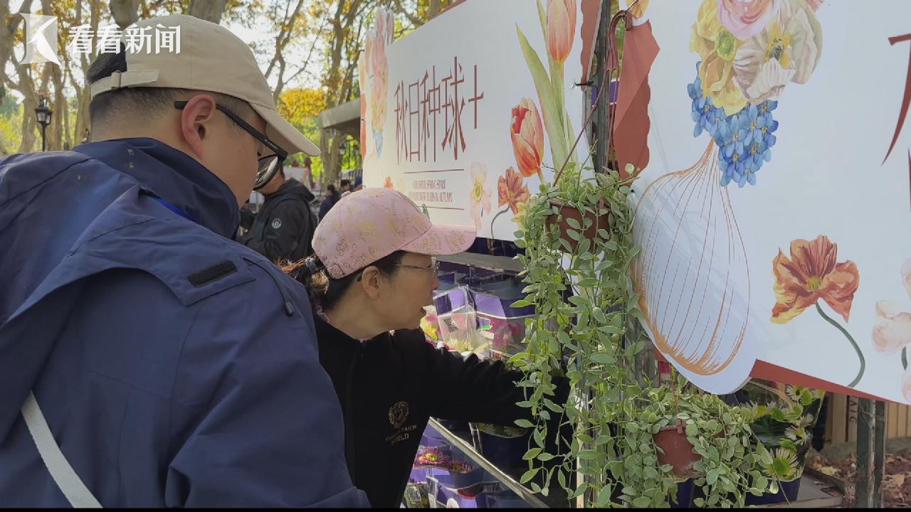 秋日种球植物展亮相复兴公园，市民亲手栽种迎接春节年宵花  第2张