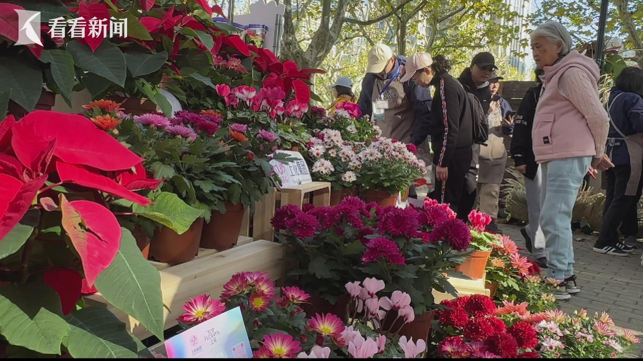 秋日种球植物展亮相复兴公园，市民亲手栽种迎接春节年宵花  第3张