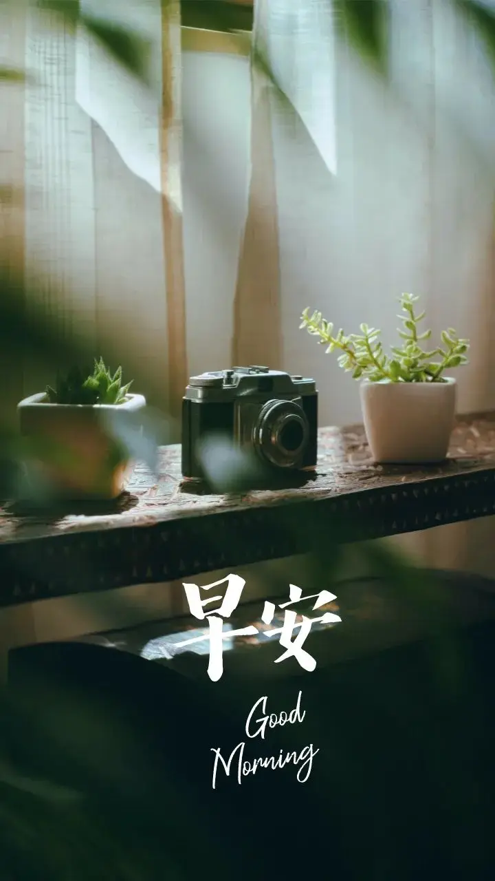 早安！努力提升自我，拓展视野，遇见优秀，享受多维度生活的美好  第10张
