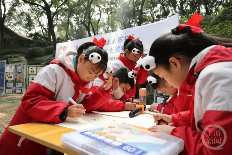 渝港澳青少年自然探索熊猫行动：为大熊猫设计温馨家园，共筑美好未来  第3张