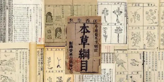 中西医之争：从历史到现代，中医与西医的差异与共融  第7张