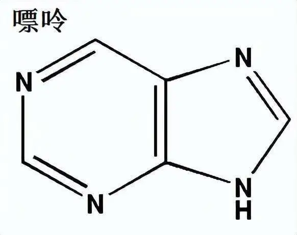 嘌呤：生命不可或缺的双刃剑，了解其代谢与健康风险  第2张