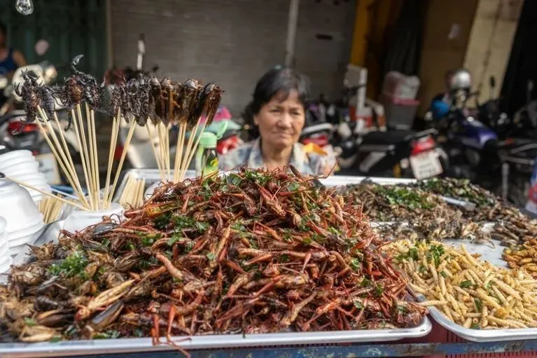 探索食物与免疫系统的科学关系：营养如何影响健康与疾病治疗  第2张