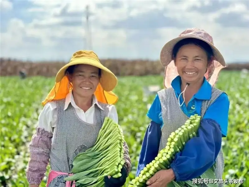 云南文山州：全球旅居新热点，体验世外桃源的诗意生活  第3张