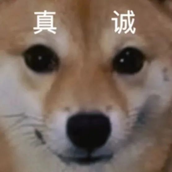 影视剧新趋势：女性情谊的展现与观众共鸣  第5张
