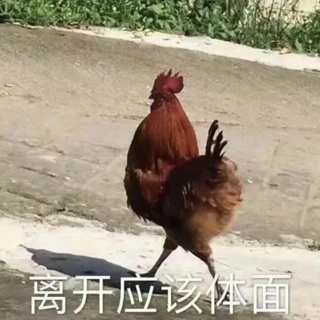 影视剧新趋势：女性情谊的展现与观众共鸣  第8张