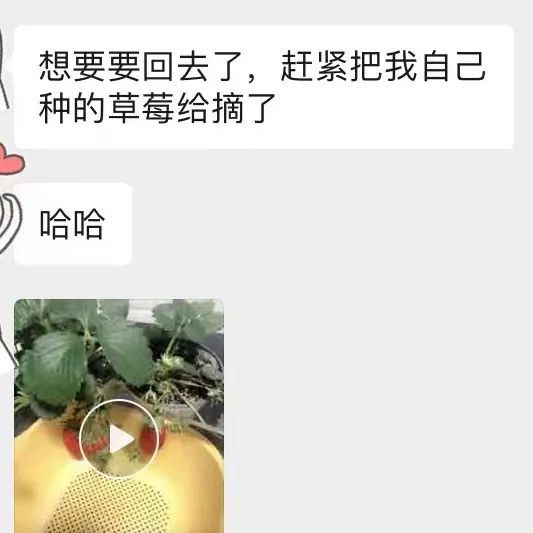 影视剧新趋势：女性情谊的展现与观众共鸣  第9张