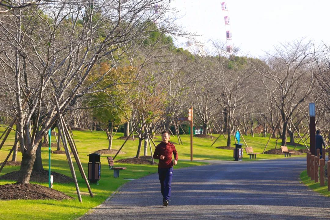 冬日宝山顾村公园晨练活力四射，音乐与舞剑交织的健身风景  第8张