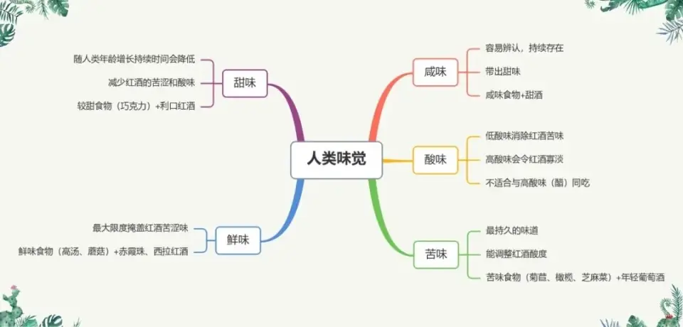 葡萄酒与食物完美搭配指南：提升用餐体验的科学艺术  第5张