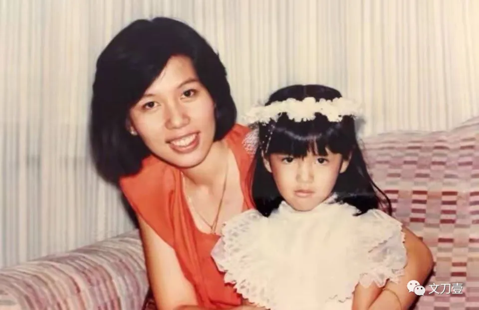 豪门风波：陈荣炼被判刑13年，罚金18亿港币，背后的铤而走险与荒唐辩解  第14张