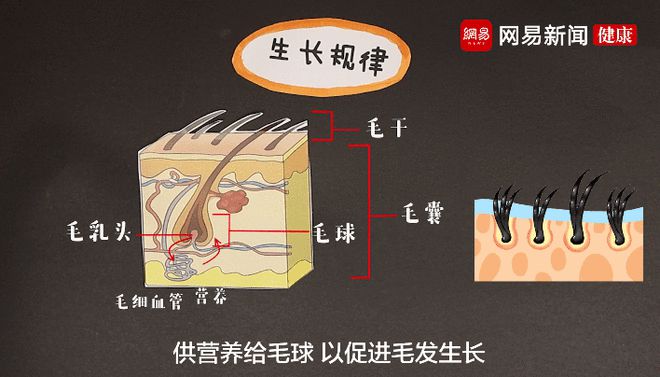 夏天脱毛大作战：永久脱毛大招揭秘，告别磨人毛发困扰  第1张