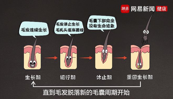夏天脱毛大作战：永久脱毛大招揭秘，告别磨人毛发困扰  第2张