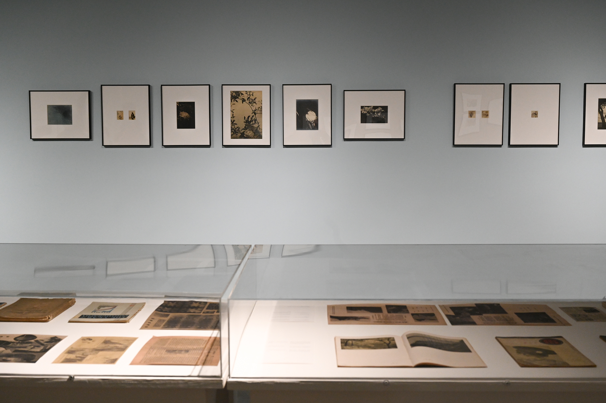 2024集美·阿尔勒国际摄影季盛大开幕，十年里程碑与新起点展望  第15张