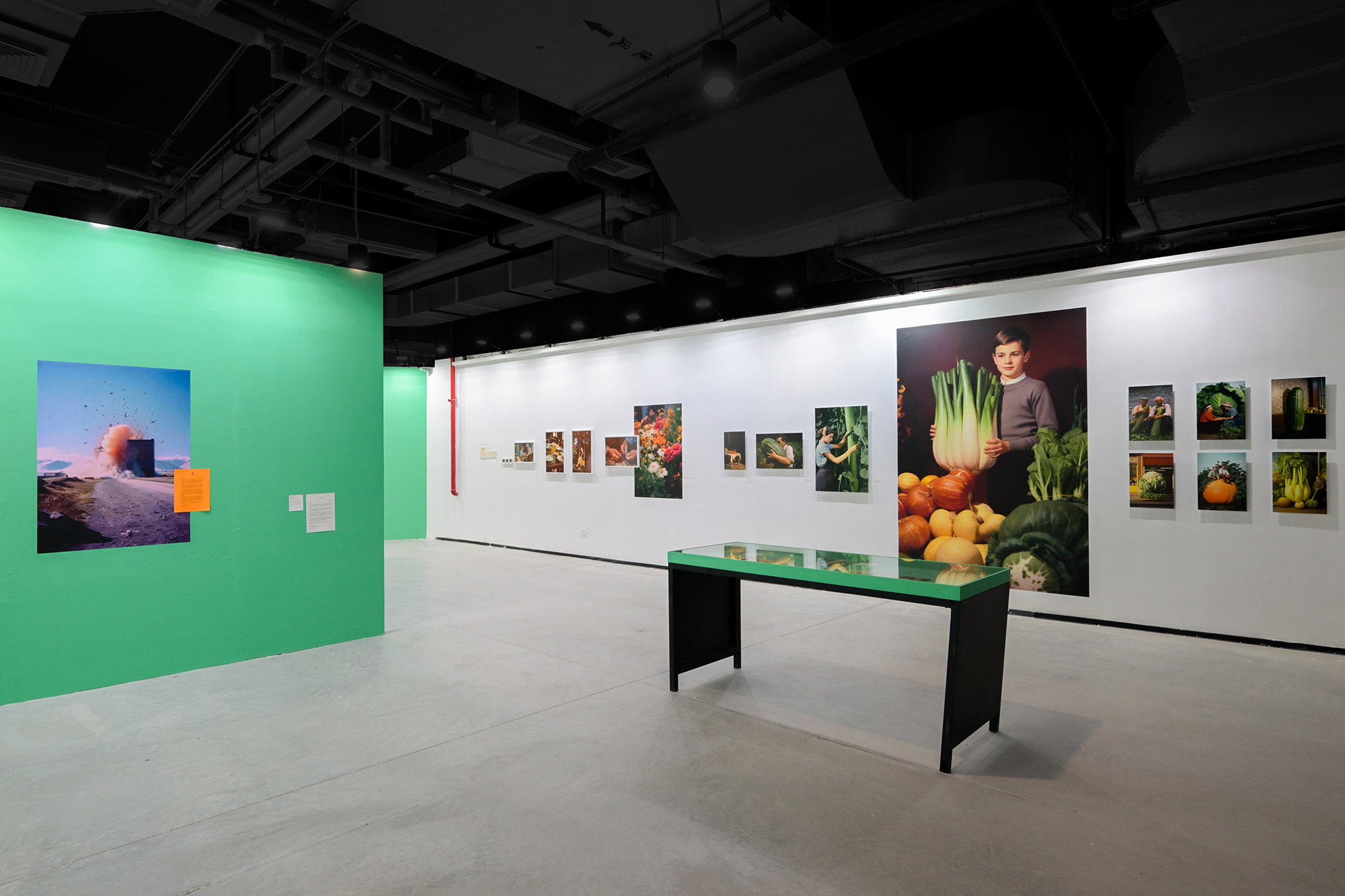 2024集美·阿尔勒国际摄影季盛大开幕，十年里程碑与新起点展望  第7张