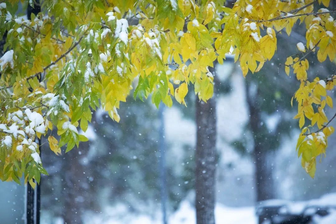 全国大部晴朗干燥天气持续，东北地区需防降雪影响及新冷空气来袭