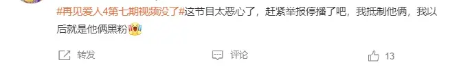 再见爱人4麦琳现象级爆火，素人嘉宾成全网焦点  第12张