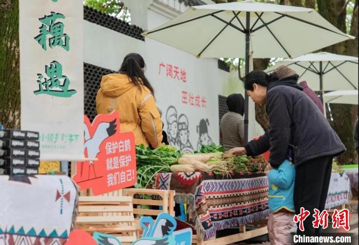 江西南昌白鹤小镇：观鸟胜地，候鸟迁飞与集群越冬的震撼体验  第3张