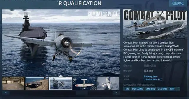 COMBAT PILOT: CARRIER QUALIFICATION11月30日Steam页面开放 暂不支持中文