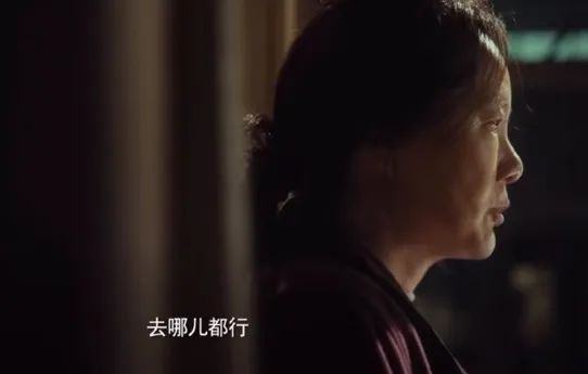 2019年至今，中年女演员在影视圈的困境与呼声：五年后的现状如何？  第17张