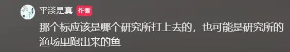 浙江男子海边捡到编号鱼，揭秘浙海C50标签背后的秘密  第4张