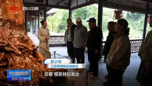 探访长江支流岷江畔的眉山三苏祠，感受千年文脉与文化传承  第4张