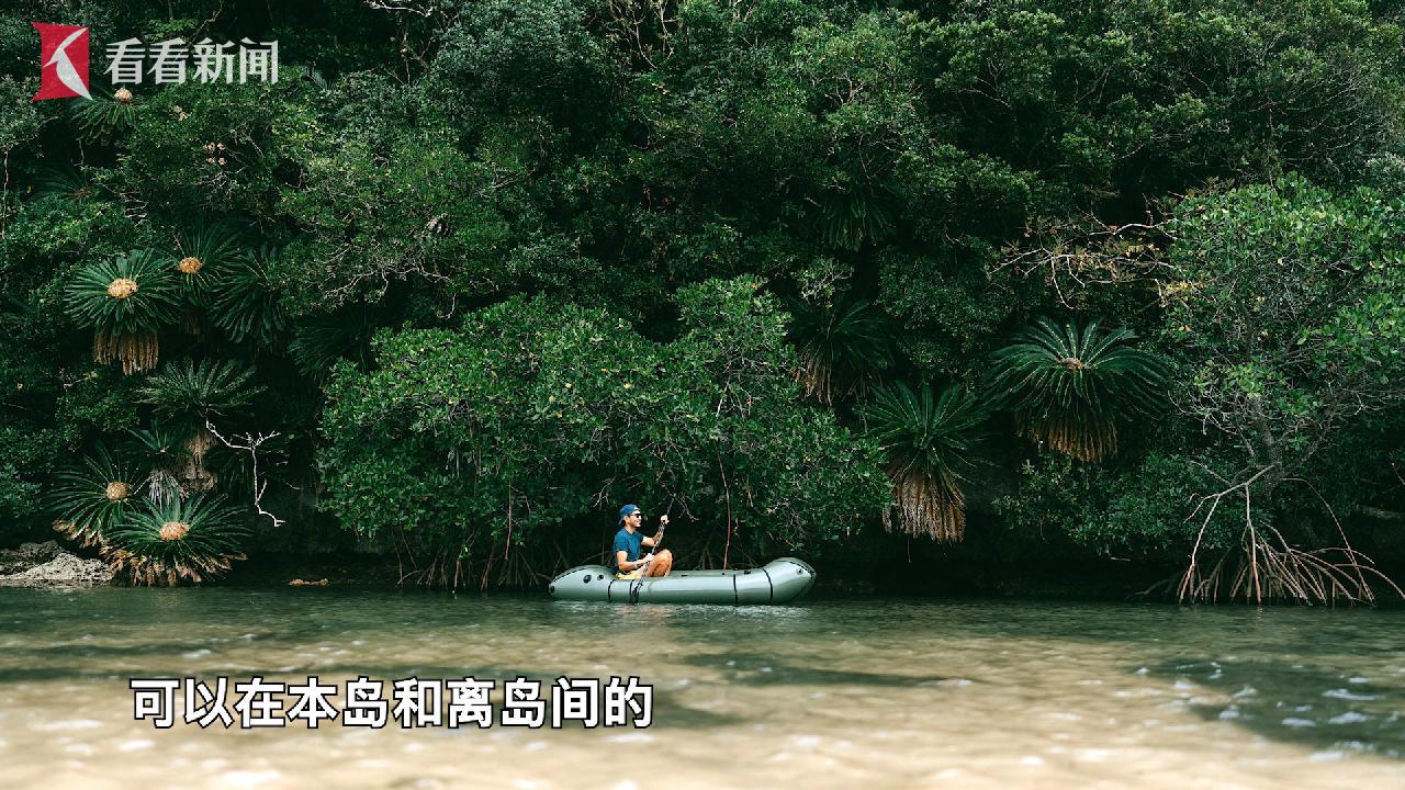 冲绳县与上海的深度合作：教育、文化与旅游的未来展望  第5张